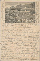 Ansichtskarten: Vorläufer: 1889, ROSSTRAPPE Winzenburg, Vorläuferkarte 5 Pf Lila Als Privatganzsache - Non Classificati