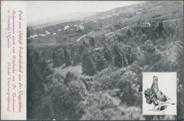 Ansichtskarten: Motive / Thematics: FOTOAPARAT, "Park Von Friedrichshof Aus Der Vogelschau, Aufgenom - Autres & Non Classés