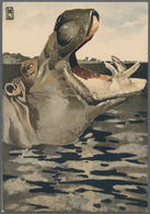 Ansichtskarten: Künstler / Artists: HOHLWEIN, Ludwig (1874-1949), Deutscher Grafiker. 17 Zukunftsbil - Zonder Classificatie
