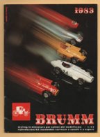Catalogue BRUMM 1983 :Fiat ; Ferrari ; Lancia ; Alfa Romeo ; Jaguar ; Porsche ; Diligence  ; Etc - Catalogi