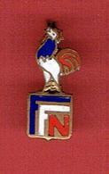 INSIGNE EMAILLE FEDERATION FRANCAISE DE NATATION EN TRES BON ETAT EPINGLETTE - Schwimmen