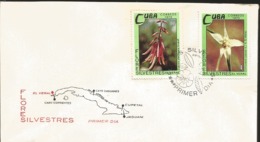 U) 1973 CARIBE,ARRIVAL POINT, MAP, WILD FLOWERS,FDC - Brieven En Documenten
