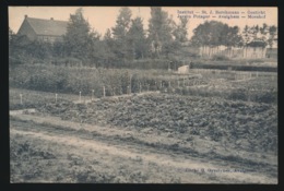 AVELGEM   ==  ST.JAN BERCHMANS GESTICHT  JARDIN POTAGER  MOESHOF - Avelgem