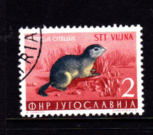 Trieste Zone B  SG B119 1954 Animals  2d Grey,buff And Red,used - Used