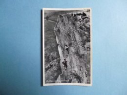 BORROWDALE  -  On Shehelds Crag  -  ANGLETERRE - Borrowdale