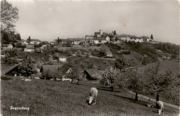 Regensberg (9906) - Regensberg