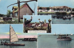 AK Neusiedlersee - Mehrbildkarte - Strandbad Störche - 1959 (43523) - Neusiedlerseeorte