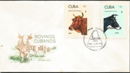 V) 1973 CARIBBEAN, CUBAN CATTLE'S, RACES, CREOLE,  HOLSTEIN ,WITH SLOGAN CANCELATION IN BLACK, FDC - Covers & Documents