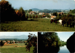 Grüningen / Adletshausen / Itzikon / Töbeliweiher - 3 Bilder (1087) * 10. 5. 1977 - Grüningen