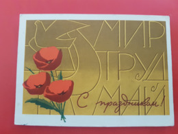 Postcard From Russia  USSR Period   1965  Propaganda - Other