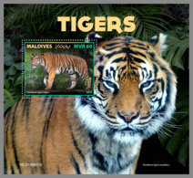 MALDIVES 2019 MNH Tigers Tiger Raubkatzen Tigres S/S - OFFICIAL ISSUE - DH1937 - Raubkatzen