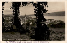 Wädenswil V. D. Schloßterrasse Aus Gesehen (21875) * 8. 7. 1931 - Wädenswil