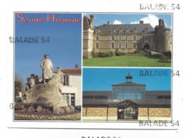 CPM - SAINTE - HERMINE (85) Statue De Clémenceau, Le Château Et La Halle - Sainte Hermine