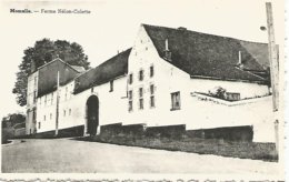 Delcampe - Momalle - Remicourt