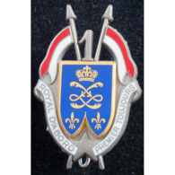Belle Broche De L'insigne Militaire Du 1° Régiment De Dragons,"Royal D'abord, Premier Toujours".  Ref: Boussemart G.1608 - Army