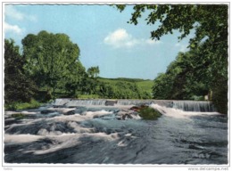 Carte Postale Allemagne Wittlich  Wehr An Der Bastenmühle - Wittlich