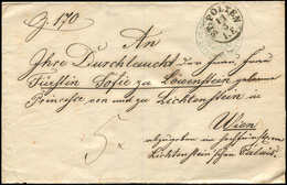 Let AUTRICHE Càd St POLTEN 11/3 S. Lettre En Franchise Pour La Princesse Du Liechtenstein, Arr. WIEN, TB - Autres & Non Classés