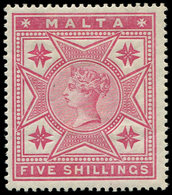 * MALTE 11 : 5s. Rose, TB - Malta (...-1964)