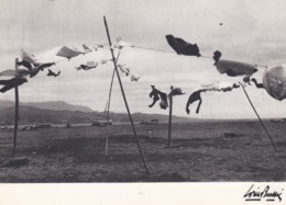 L' Insolite Par L. BUFFIER Cpsm 10x15 N/B. N° K3 . Le Vent Dans La Voile - Fotografía