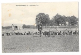 VUE DE BEAUCE (28) Moutons Au Parc - Andere & Zonder Classificatie