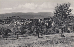 D-37444 Sankt Andreasberg - Blick Von Den Drei Jungfern (Echt Foto) - St. Andreasberg