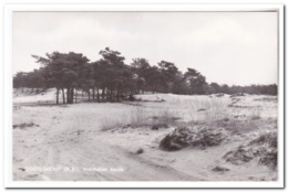 Oosterhout, Vrachelse Heide ( Linker Benedenhoek Geknikt ) - Oosterhout