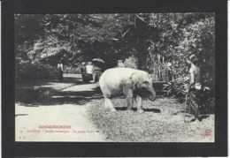 CPA éléphant Cochinchine Asie Indochine Non Circulé - Vietnam