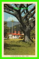 TRINIDAD - TRINIDAD COUNTRY CLUB - B.W.I. - PECO - CLUB HOUSE - - Trinidad