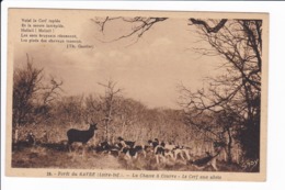 28 - Forêt De GAVRE - La Chasse à Courre - Le Cerf Aux Abois - Other & Unclassified