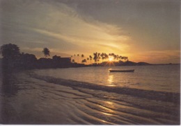 GUYANE - CAYENNE - COUCHER DE SOLEIL POINTE BUZARET - Cayenne