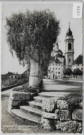 Solothurn - St. Ursenkathedrale Mit Chantieranlagen - Andere & Zonder Classificatie