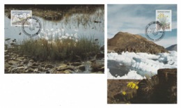 GREENLAND 1989 Flowers / Cotton Grass / Mountain Poppy: Set Of 2 Maximum Cards CANCELLED - Cartoline Maximum