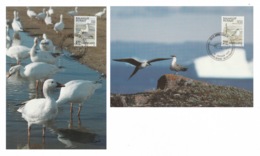 GREENLAND 1990 Birds / Snow Geese / Long-Tailed Skuas: Set Of 2 Maximum Cards CANCELLED - Maximumkaarten