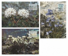 GREENLAND 1990 Flowers / Bellflower / Labrador Tea / Heather: Set Of 3 Maximum Cards CANCELLED - Maximumkaarten