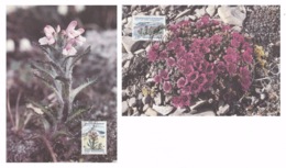 GREENLAND 1992 Flowers: Set Of 2 Maximum Cards CANCELLED - Cartas Máxima