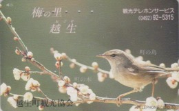 Télécarte Japon / 110-139649 - ANIMAL - OISEAU Passereau Fauvette - SONG BIRD Japan Phonecard - 4430 - Zangvogels