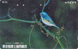 YC Japon / 110-011 - Animal - OISEAU Passereau - ROSSIGNOL A FLANCS ROUX - NIGHTINGALE SONG BIRD Japan Phonecard - 4438 - Songbirds & Tree Dwellers