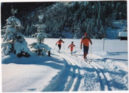 Skiwandern Und Langlauf / Piste De Fond Et De Rendonnée - (Saas-Almagell, 1983) - Saas-Almagell