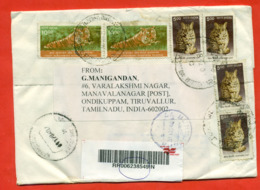 India 2004. Registered Envelope Past Mail. Airmail. - Raubkatzen