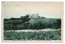 Cpa 84 Châteauneuf-du-Pape - Château Des Fines-Roches - Chateauneuf Du Pape