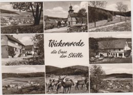 ALLEMAGNE    WICKERSRODE  Die Oase Der Stille - Melsungen