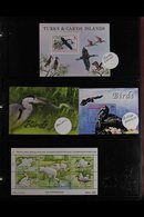 BIRDS MINIATURE SHEETS & SHEETLETS - 1960s-2008 FOUR VOLUMES - A HUGE QUANTITY Of Items From Across The World - A Truly  - Non Classificati