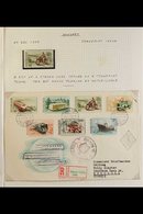MOTORCYCLES HUNGARY 1948-2014 Collection On Leaves, Includes Mint (some Never Hinged) & Used Stamps, Miniature Sheets, F - Unclassified