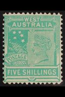 WESTERN AUSTRALIA 1902-11 5s Emerald-green, SG 126, Very Fine Mint. For More Images, Please Visit Http://www.sandafayre. - Andere & Zonder Classificatie