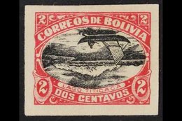 1916-17 Lake Titicaca 2c Carmine And Black, Imperf, With CENTRE INVERTED, Scott 113d, Fine Unused (no Gum). For More Ima - Bolivie