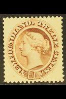 1894 12c Deep Brown, SG 61, Very Fine Mint. For More Images, Please Visit Http://www.sandafayre.com/itemdetails.aspx?s=6 - Other & Unclassified