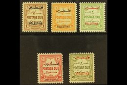 OCCUPATION OF PALESTINE 1948 Postage Due Set, Perf 12, Complete, SG PD25/9, Very Fine And Fresh Mint. (5 Stamps) For Mor - Giordania