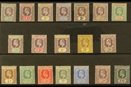 1902-11 KEVII MINT COLLECTION Presented On A Stock Card & Includes 1902 CA Wmk Set To 1s, 1905-08 MCA Wmk Range With Mos - Leeward  Islands