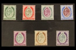 1903-04 KEVII (wmk Crown CA) Complete Set, SG 38/44, Very Fine Mint (7 Stamps) For More Images, Please Visit Http://www. - Malta (...-1964)