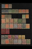 1892-1922 INTERESTING MINT COLLECTION On Stock Pages, Includes 1892-93 6d, 2s & 2s6d, 1892-94 Set (ex 3s) Incl 2d (x2),  - Otros & Sin Clasificación